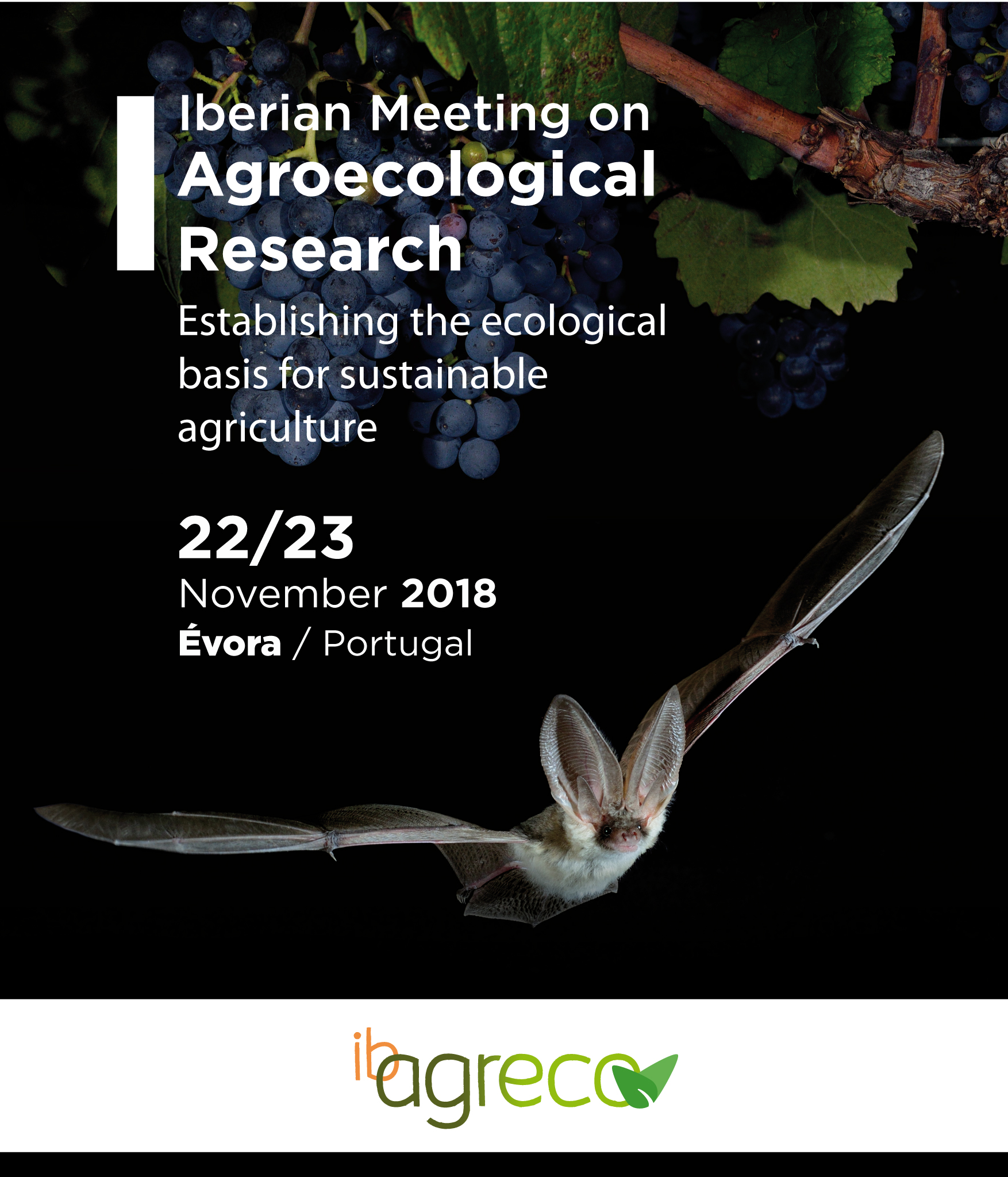 http://www.ibagreco2018.uevora.pt/wp-content/uploads/2018/04/ibagreco_flyer.jpg